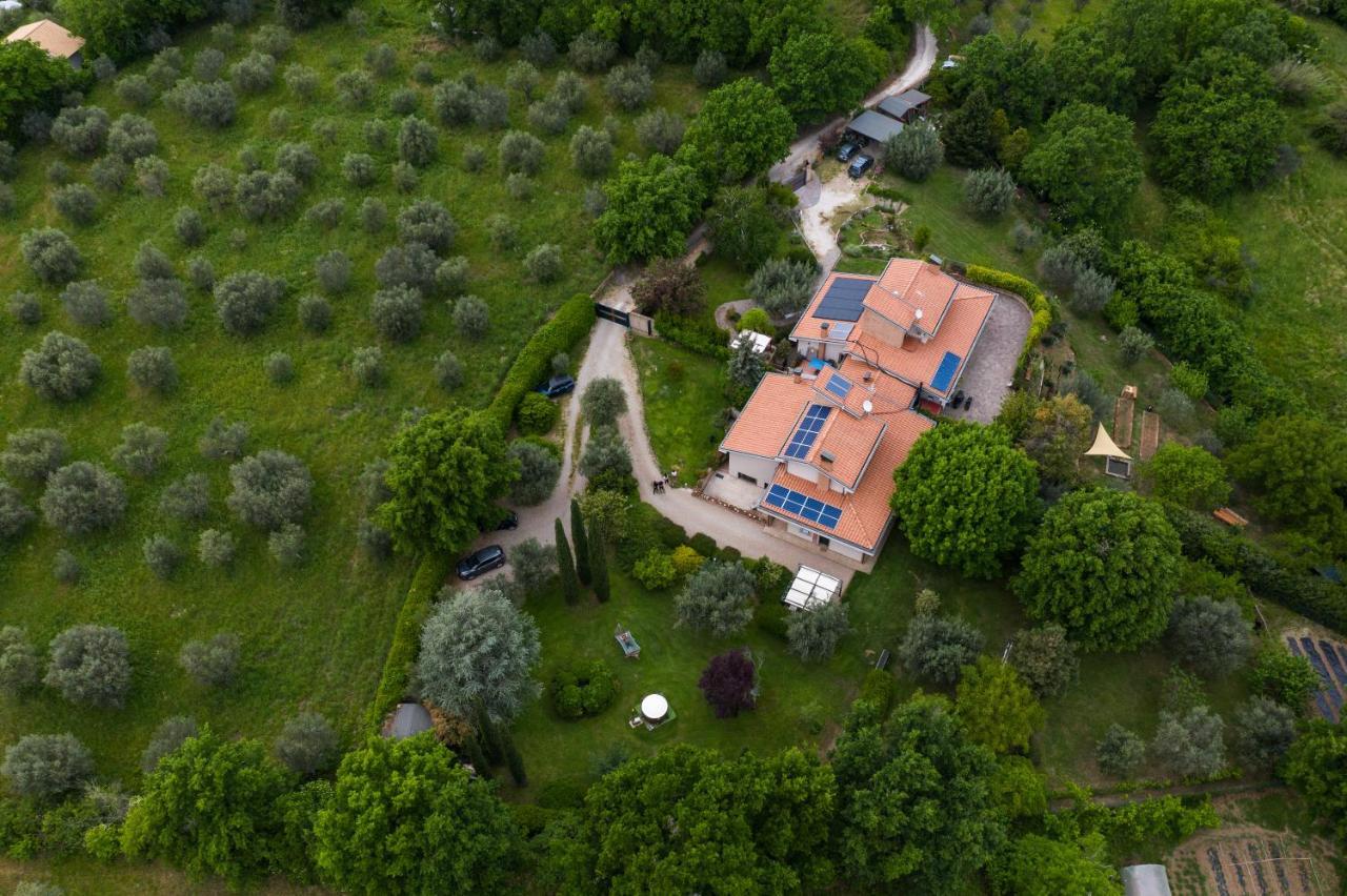 Bio & B - Italyke Panzió Viterbo Kültér fotó